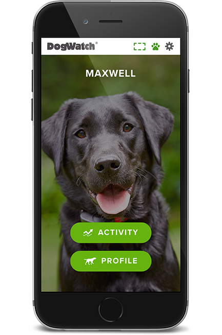 DogWatch of Appalachia & West Virginia, Ashland, Kentucky | SmartFence WebApp Image