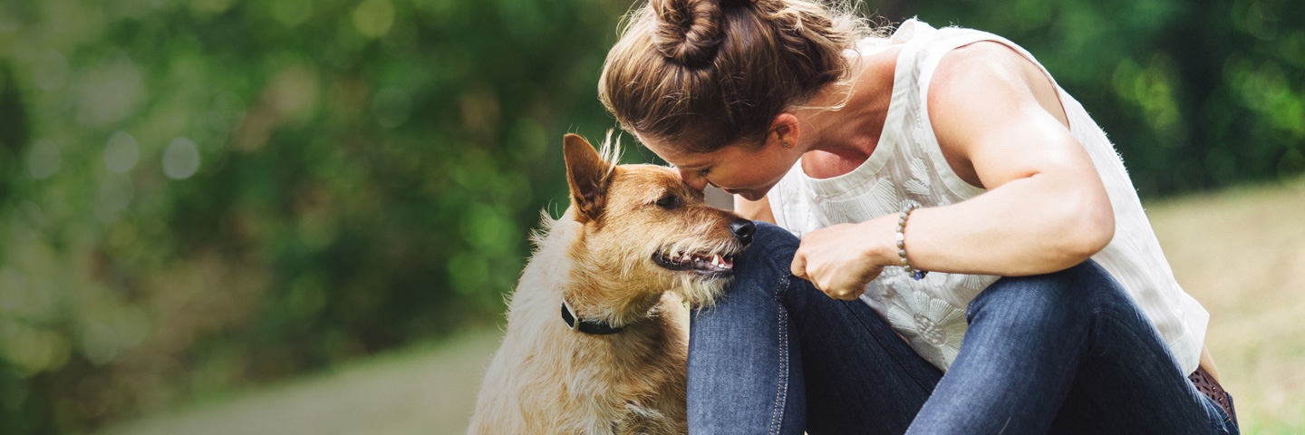 DogWatch of Appalachia & West Virginia, Ashland, Kentucky | BarkCollar No-Bark Trainer Slider Image